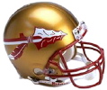 FSU helmet